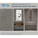 PANNEAU POLY-U ROCHE STAR CLOUD LIGHT GREY 3A 1200x600x10 NINE